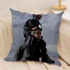 La Ffeves Singer Cool Cushion Cover Silky Short Plush Invisible Zipper Dustproof Sofa Pillow Case For Home Decor