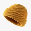 Winter Acrylic Warm Bean Hat Cute and Versatile Light Plate Wool Cold Proof Flip Knit Hat