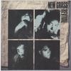 CD NEW GRASS REVIVAL Пятничный вечер в Америке SMD19892 Southern Music 2001 США Кантри/Фолк Б/у