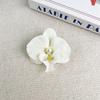 Women Korean Cloth Floral Pearl Hair Clip Sweet Phalaenopsis Flower Hairpin Female Headdress