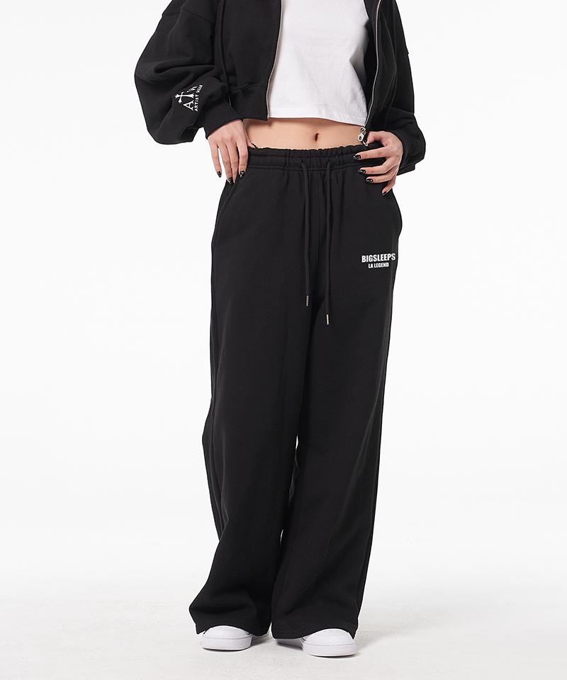 ARTISTWEAR [Atw X Big Sleeps] Широкие эластичные брюки La Legend