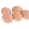 5pcs Chicken Laying Plastic Fake Brood-Eggs For-Poultry Hens For Broody Chooks