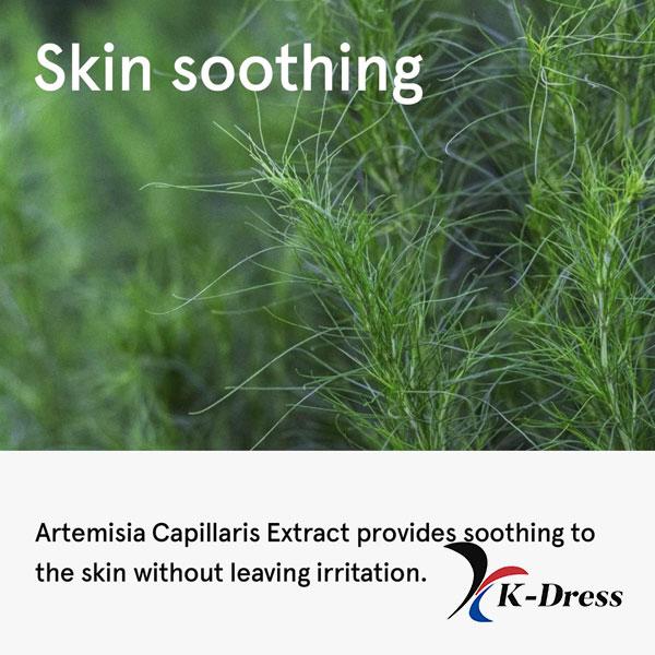 ONETHING Тоник с экстрактом полыни Artemisia Capillaris