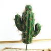1 шт., искусственный кактус, суккулентное растение, бонсай, офисный стол, домашний декор для вечеринки?