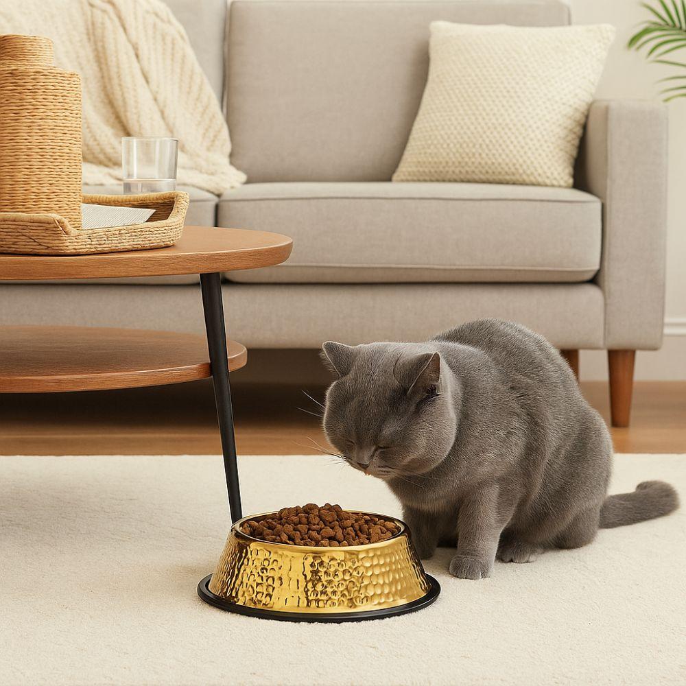 Stainless Steel Pet Feeding Bowl Large Capacity Cat Food Dish Dog Food Basin  For Dogs Cats