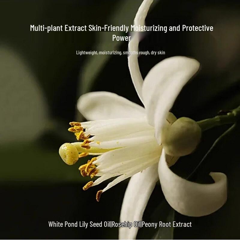 SETH WOOD Hydrating Hand Cream