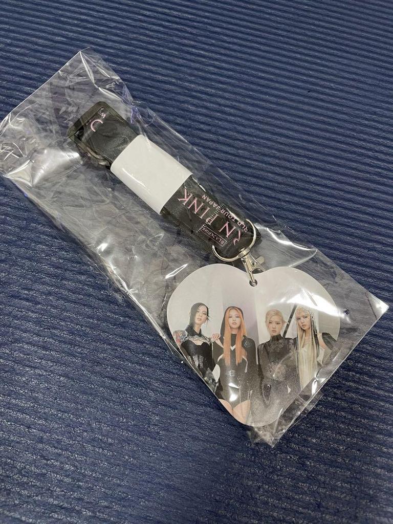 [USED] BLACKPINK BORNPINK Premium Seat Exclusive Merchandise with Bonus Fan