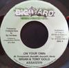 7inch Record BRIAN & TONY GOLD, ASSASSIN / KIPRI - On Your Own / That Girl BYJ7033,BYJ7034 Big Yard Music  2003 Jamaica Reggae, Ska & Dub Used