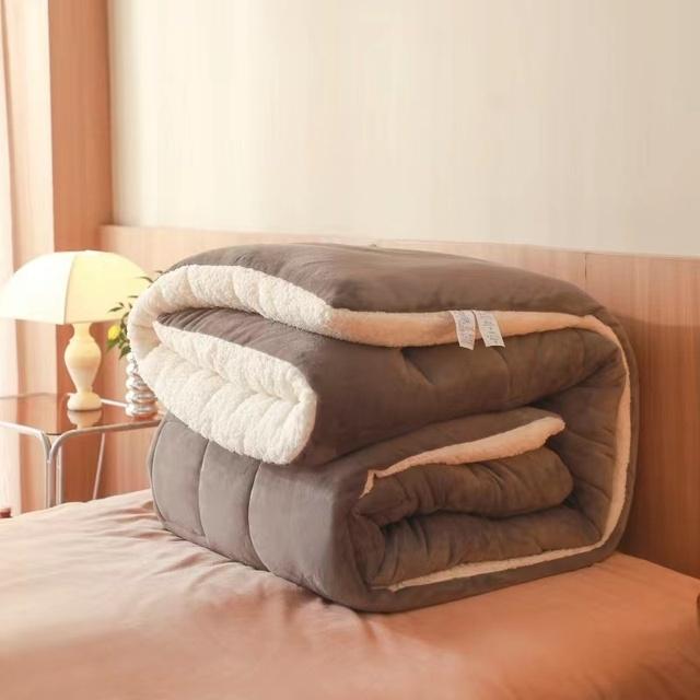 Twin Queen King Full Double Size Plush Velvet Quilted Winter Thick Warm Lamb Velvet Duvet Bedding In Filler
