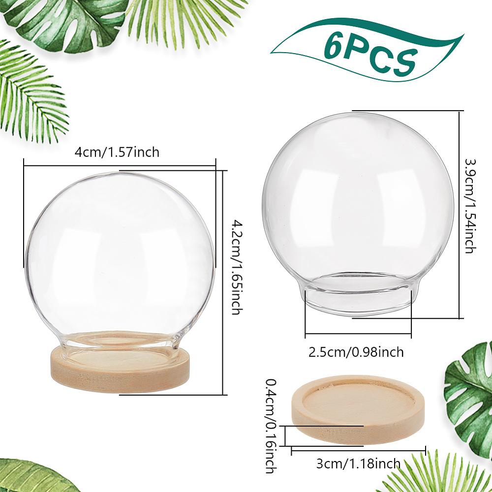 1set 6pcs Glass Dome Cover Decorative Display Case Cloche Bell Jar Terrarium with Wooden Base BurlyWood 40mm