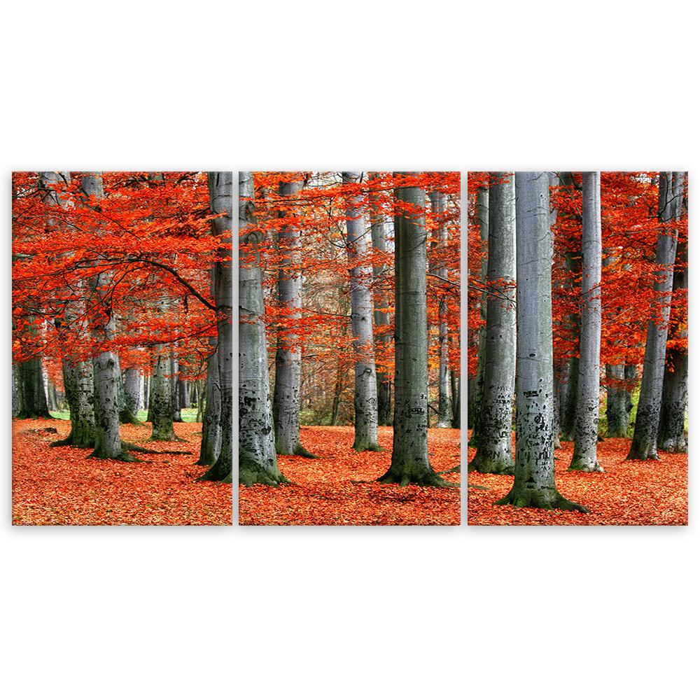 Картина из трех частей, печать на холсте, лес, красная осень, природа