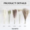 Source Yunnan Dried Flower Bouquet Combination, Real Flower Pampas Grass Home Decoration Reed Rabbit Tail Grass Dried Flowers