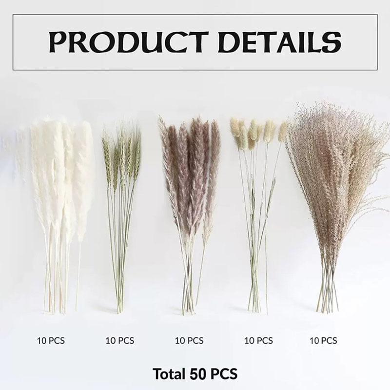 Source Yunnan Dried Flower Bouquet Combination, Real Flower Pampas Grass Home Decoration Reed Rabbit Tail Grass Dried Flowers