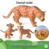 Модели-симуляторы животных: Гепард, Муравьед, Еж, Лев, Тигр, Слон - Детский Познавательный Набор Игрушек