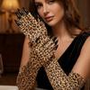 Personality Ghost Claw Mittens Long Sleeve Cosplay Gloves Halloween Gloves  Festival