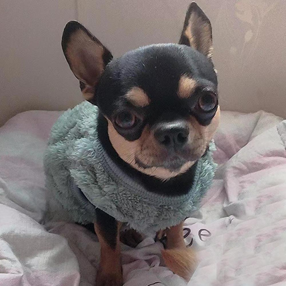 Small Dog Sweaters Soft Fleece Warm Coat Puppy Vest Jacket Pullover Comfortable Fashion Cat Sweaters Cold Weather Pet Clothes Chihuahua Yorkie Outfit