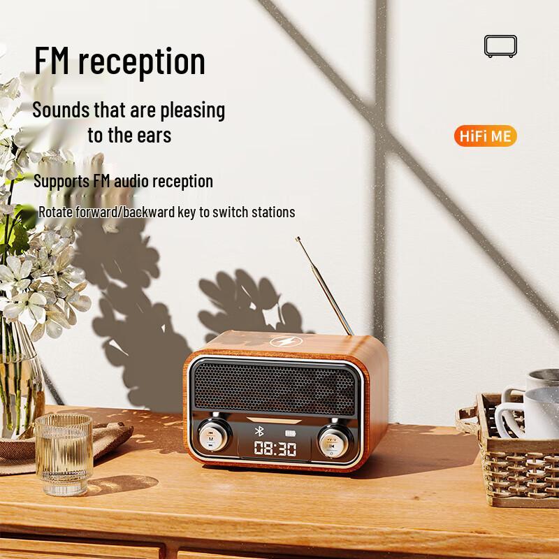 BIYAOZI Retro Mini Bluetooth Speaker with Radio
