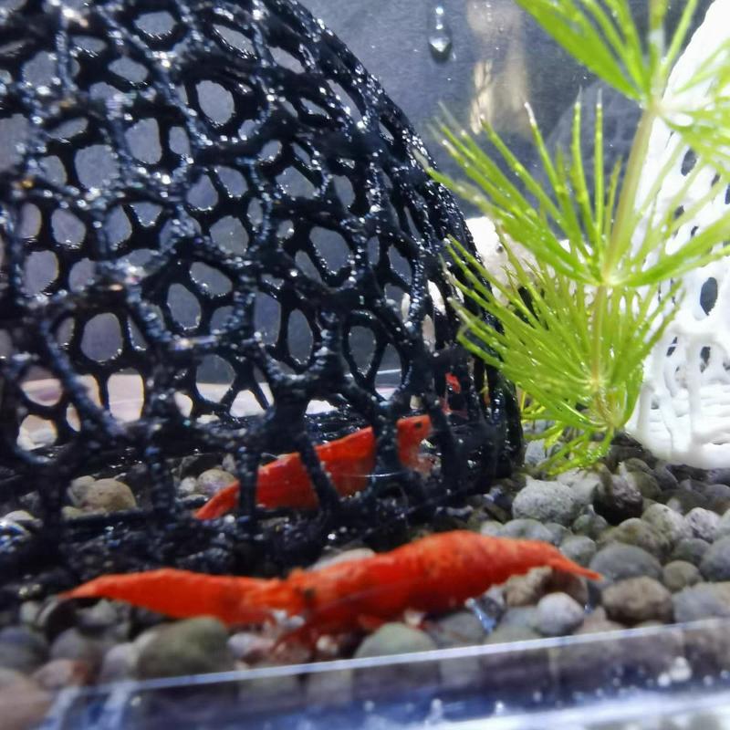 3D Printed Hiding Cave Shelter Ornaments for Small Fish Shrimp To Breed, Play and Rest,Fish Tank Accessories Aqaurium Decoration
