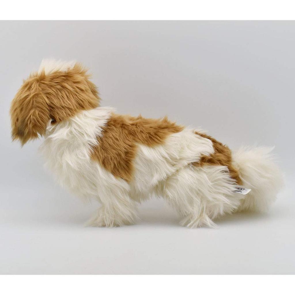 BH7030 HANSA Shih Tzu 30