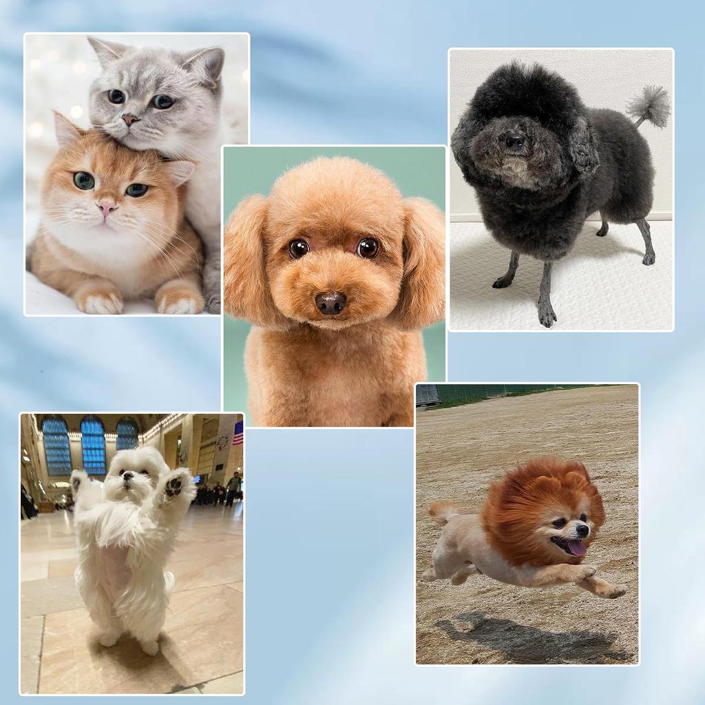 Лезвия для стрижки собак и кошек DEWEL, а также электрические когтерезки для ухода за домашними животными, сменные аккумуляторные, низкие, для всего тела, широко совместимы с маленькими, средними, большими