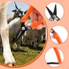 Goat Hoof Trimmer Portable Sheep Trimming Shears for Cow Lamb Livestock