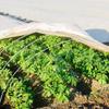 Парник Дуги Каркас Тоннель Комплект Садовые Дуги Многоразовые Гибкие Стекловолокно Набор для Выращивания Садовый Тоннель для Растений