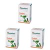 Pack of 3 Wellness Pure Herbs Hadjod Bone & Joint Wellness - 60 Tablets Each - Supports Joint Health & Bone Recovery