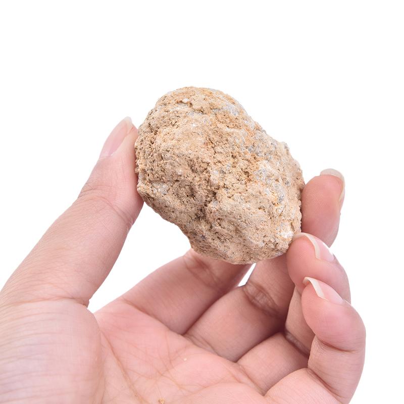 Geode Agate Raw Mineral Crystals Natural White Stone Cavity Irregular