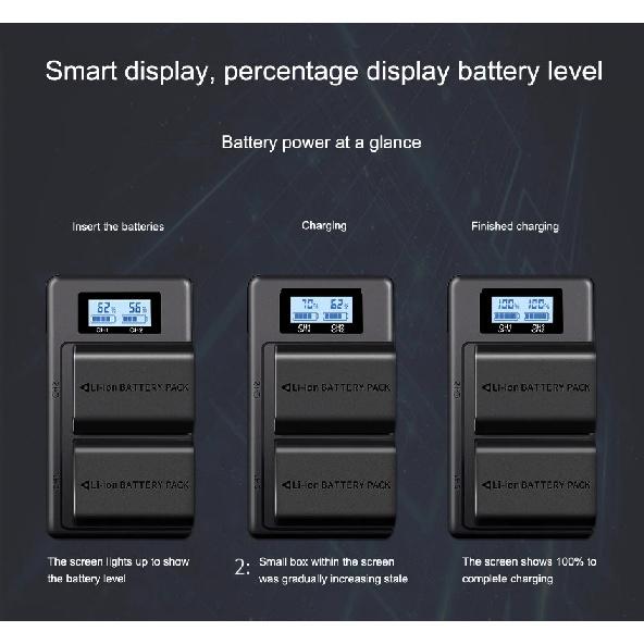 PALO NP-FZ100 NPFZ100 NP FZ100 Battery Charger for Sony NP-FZ100, BC-QZ1, Sony a9,A7R MARK 3, a7R III, a7 III,A6600