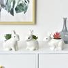Creative Cute Flower Pots White Porcelain Pots Rabbit Flower Pots Succulent Pots Plant Pot Hanging Planter Home Decoration