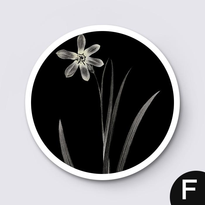 Скандинавская картина на холсте, черно-белое растение, круглый декоративный постер, простой современный подвесной и ресторан, скандинавское настенное искусство