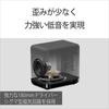 Sony Максимальная мощность сабвуфера 300 Вт SA-SW5