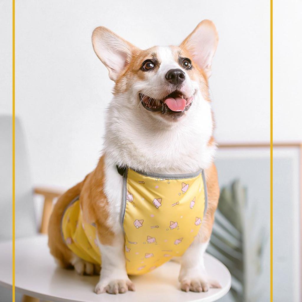 Теплый жилет для живота питомца Водонепроницаемый Защита от холода и влаги Чехол-протектор для живота собаки Шлейка для корги короткошерстного