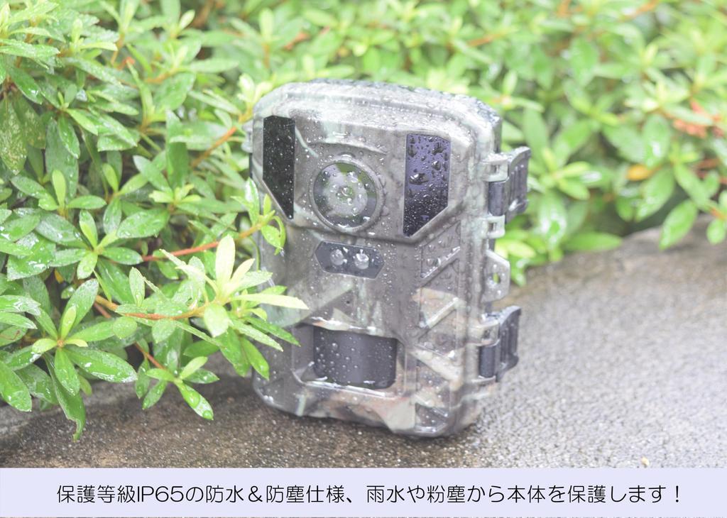 Инфракрасная беспилотная камера SIGHTRON Trail TT800CM STR-MiNi800