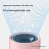 FLYCO High-Speed Negative Ion Hair Dryer FH6370 CN plug (adapter included)
