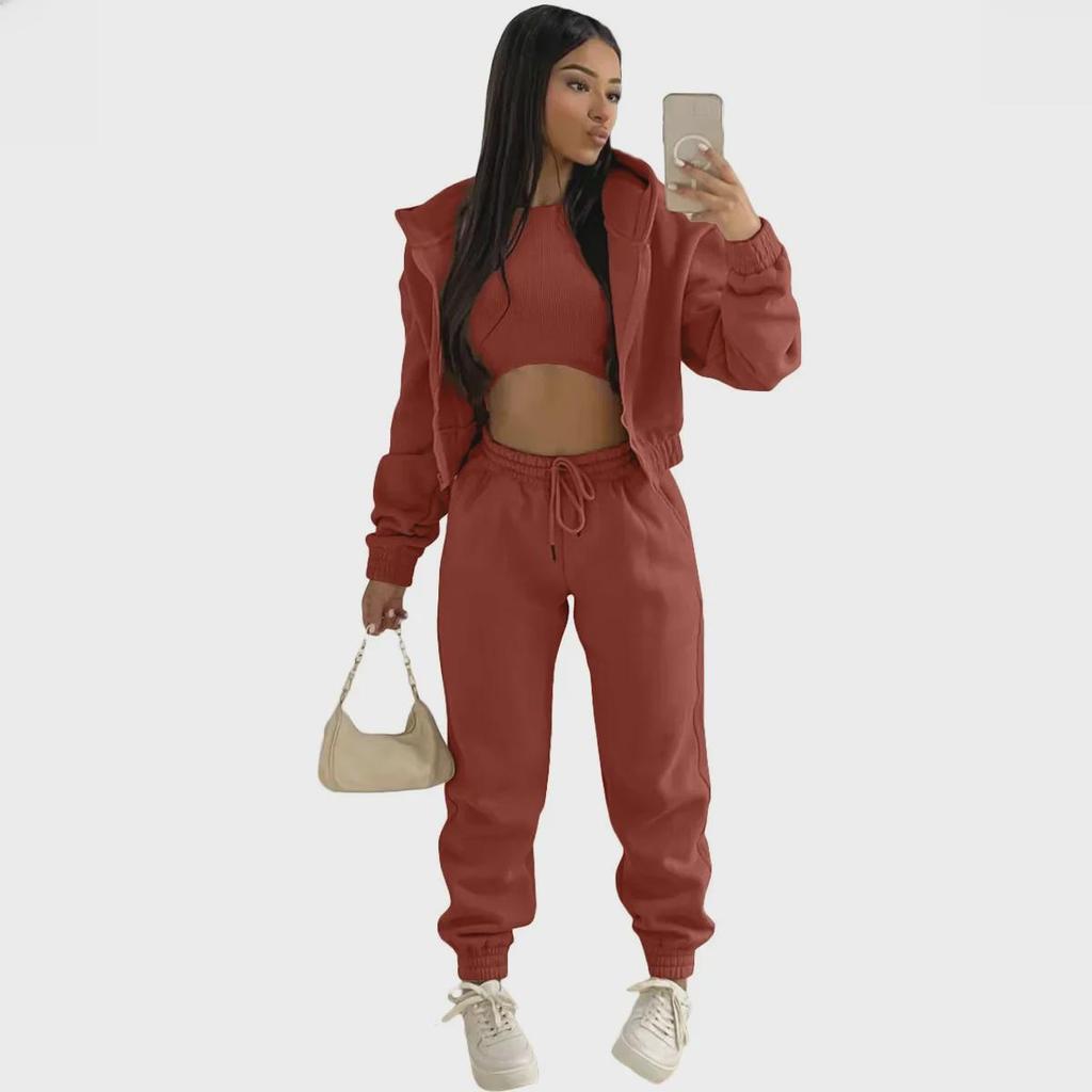 В наличии: 2022 Женская европейская и американская толстовка из 3 предметов с капюшоном и спортивный костюм для отдыха в бархатном стиле