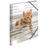 Herma Elasticated Glossy PP Folder A3 Animals (Cats)