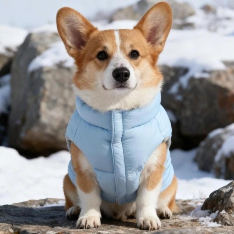 Warm Dog Down Jacket Thickened Comfortable Winter Cotton Coat Adjustable Cold Protection Windproof Dog Jacket Small Medium Dogs