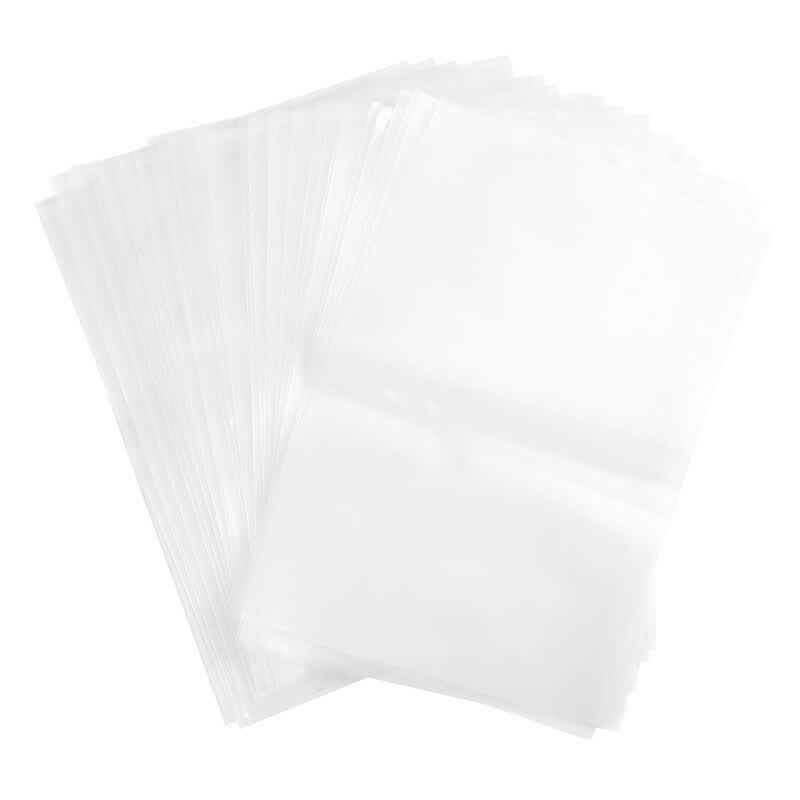 Moisture-Proof PE Flat Storage Bags (100 pcs)