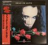 [USED] Dead Or Alive Domestic 12-inch Records x 2