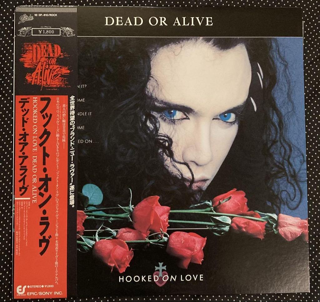 [USED] Dead Or Alive Domestic 12-inch Records x 2