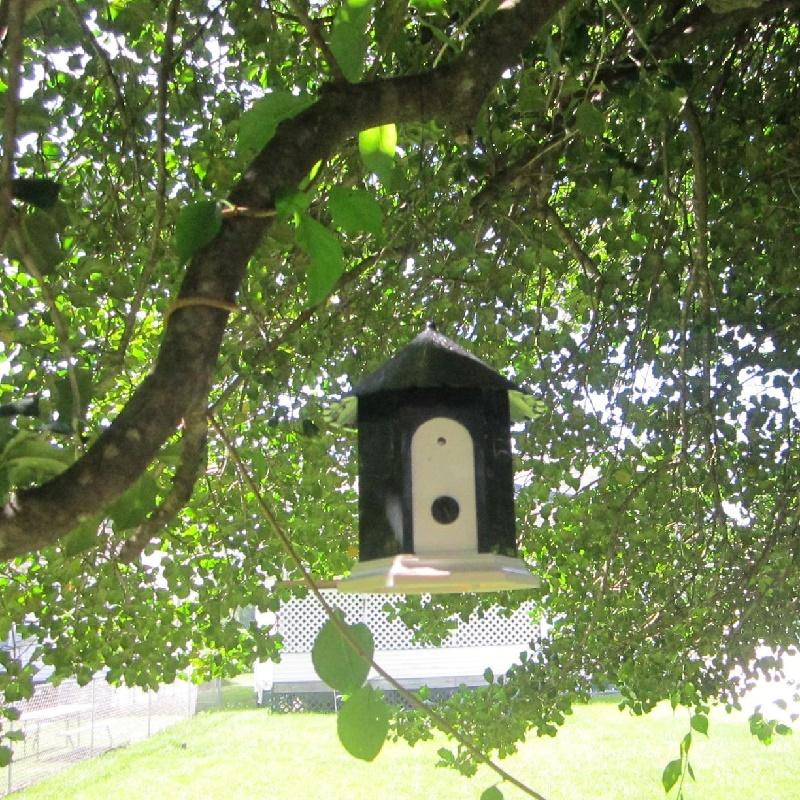 Система контроля и обучения лаю домашних собак, прочная, водонепроницаемая, ультразвуковая система управления