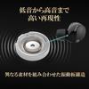 Sony Шумоподавляющие наушники WF-1000XM5: Модель MISIA CM/Полностью/Платиновое серебро WF-1000XM5 SC