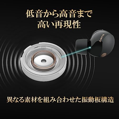 Sony Шумоподавляющие наушники WF-1000XM5: Модель MISIA CM/Полностью/Платиновое серебро WF-1000XM5 SC