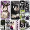 Schnauzer Puppy Dog Phone Case for Iphone 5 5s Se 6 6s 7 8 Plus X 10 XR XS 11 12 13 Mini Pro MAX Black Tpu Back Cover