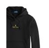 Толстовка Polo Ralph Lauren 710981781001