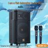 Songchuan International Kunpeng Series Portable Karaoke Trolley Speaker CN plug (adapter included) (CN version)