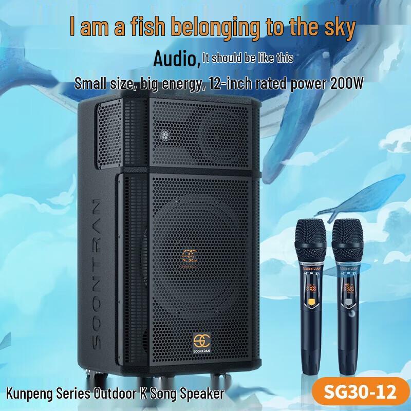 Songchuan International Kunpeng Series Portable Karaoke Trolley Speaker CN plug (adapter included) (CN version)