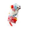 Spring Summer Pet Chest Strap Traction Rope Cat Puppy Dog Cat Clothing Outing Clothing Autumn Dog Supplies