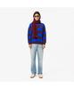 Мужской двусторонний полосатый пуловер LACOSTE Ah2915-54N Ib7